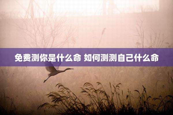 免费测你是什么命 如何测测自己什么命