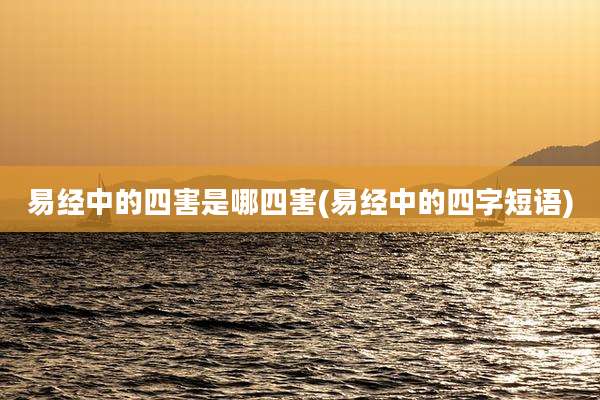 易经中的四害是哪四害(易经中的四字短语)