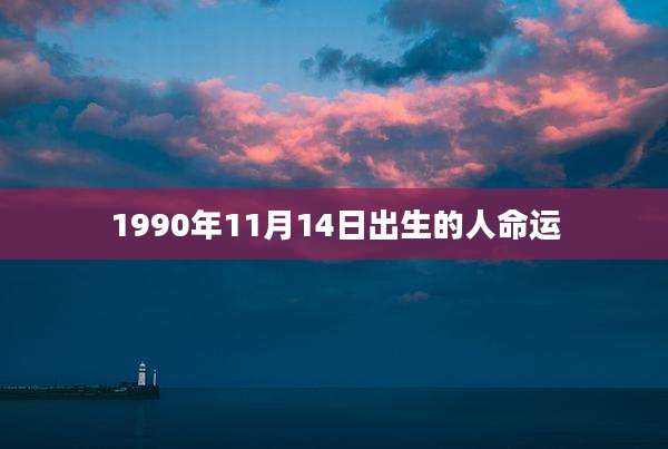 1990年11月14日出生的人命运