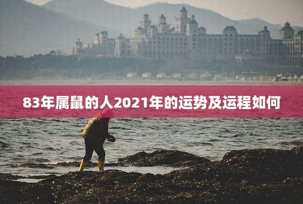 83年属鼠的人2021年的运势及运程如何