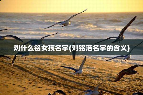 刘什么铭女孩名字(刘铭浩名字的含义)