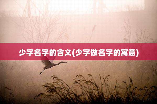 少字名字的含义(少字做名字的寓意)