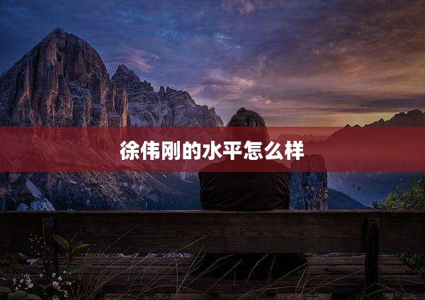 徐伟刚的水平怎么样