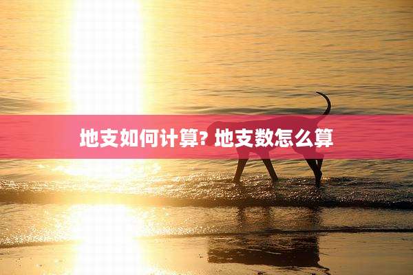 地支如何计算? 地支数怎么算