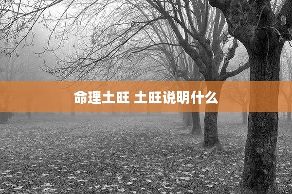 命理土旺 土旺说明什么