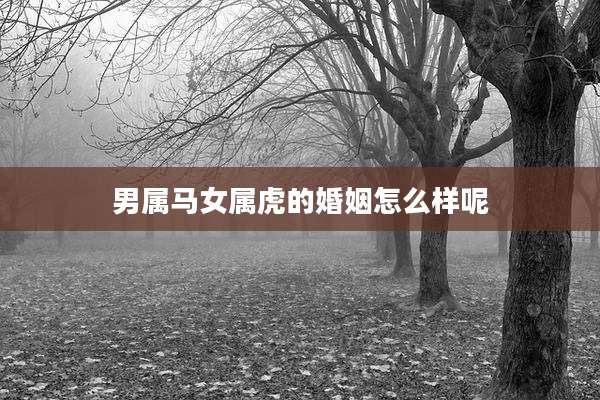 男属马女属虎的婚姻怎么样呢