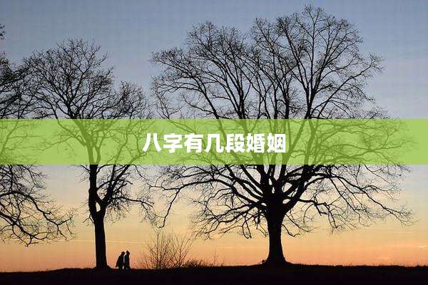 八字有几段婚姻