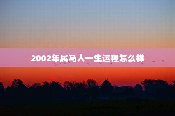 2002年属马人一生运程怎么样