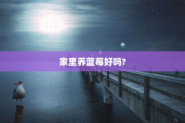 家里养蓝莓好吗?