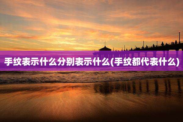 手纹表示什么分别表示什么(手纹都代表什么)