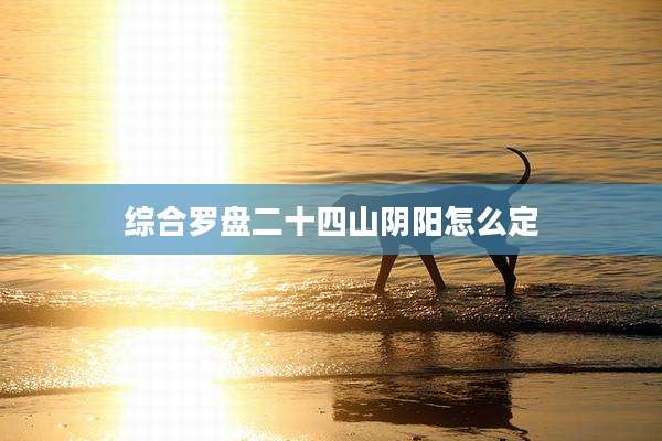 综合罗盘二十四山阴阳怎么定