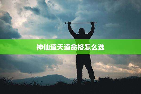 神仙道天道命格怎么选