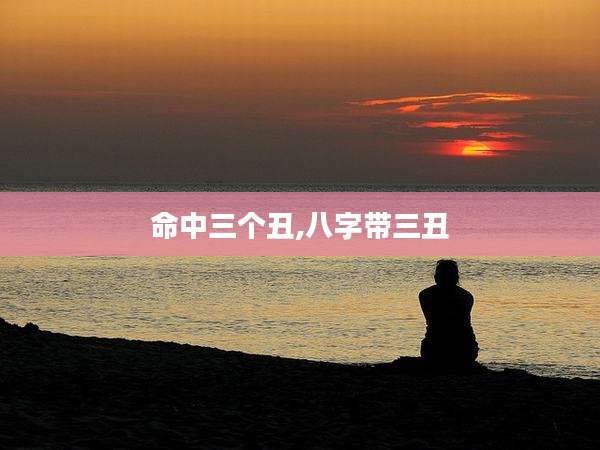 命中三个丑,八字带三丑