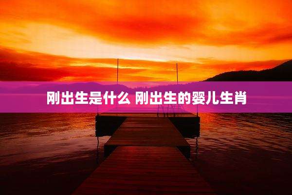 刚出生是什么 刚出生的婴儿生肖