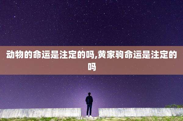 动物的命运是注定的吗,黄家驹命运是注定的吗