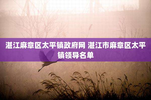 湛江麻章区太平镇***网 湛江市麻章区太平镇领导名单
