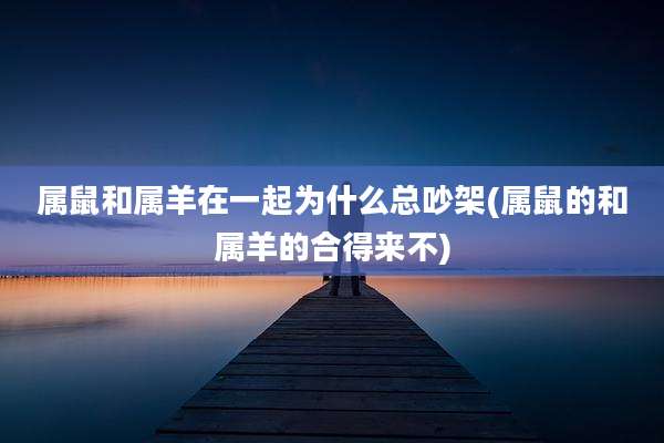 属鼠和属羊在一起为什么总吵架(属鼠的和属羊的合得来不)