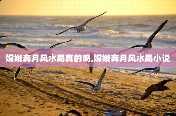 嫦娥奔月风水局真的吗,嫦娥奔月风水局小说
