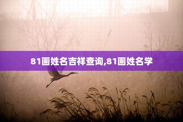 81画姓名吉祥查询,81画姓名学