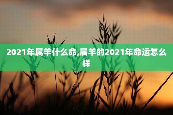 2021年属羊什么命,属羊的2021年命运怎么样
