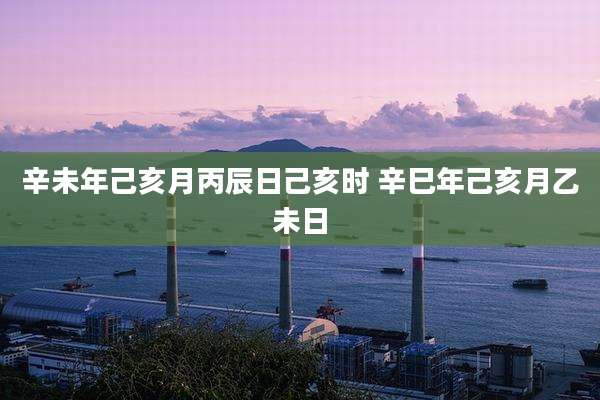 辛未年己亥月丙辰日己亥时 辛巳年己亥月乙未日
