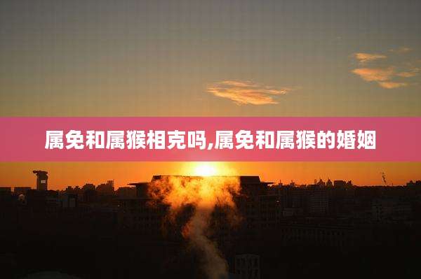 属免和属猴相克吗,属免和属猴的婚姻