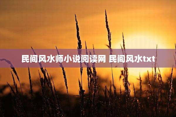 民间风水师小说阅读网 民间风水txt