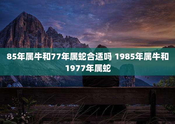 85年属牛和77年属蛇合适吗 1985年属牛和1977年属蛇