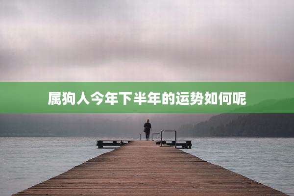 属狗人今年下半年的运势如何呢
