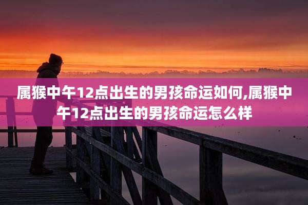 属猴中午12点出生的男孩命运如何,属猴中午12点出生的男孩命运怎么样
