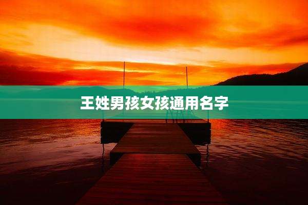 王姓男孩女孩通用名字