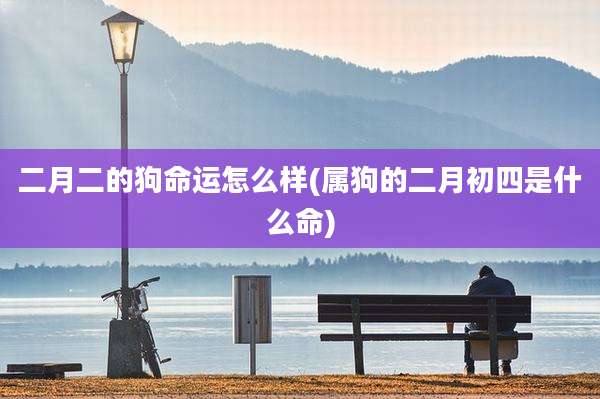 二月二的狗命运怎么样(属狗的二月初四是什么命)