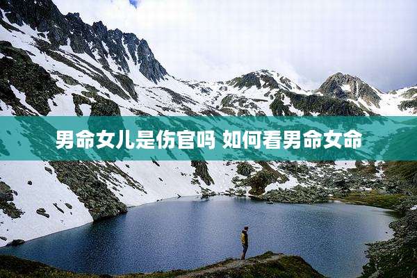 男命女儿是伤官吗 如何看男命女命