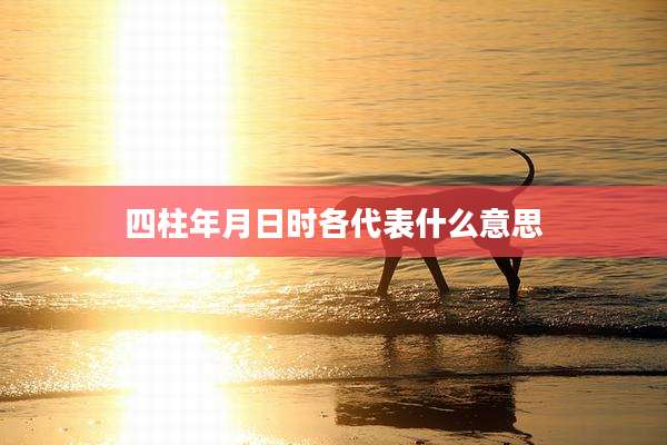 四柱年月日时各代表什么意思