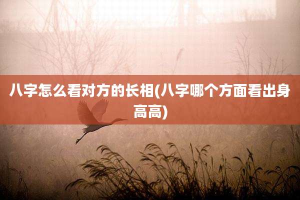 八字怎么看对方的长相(八字哪个方面看出身高高)