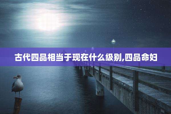 古代四品相当于现在什么级别,四品命妇