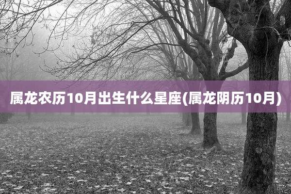 属龙农历10月出生什么星座(属龙阴历10月)