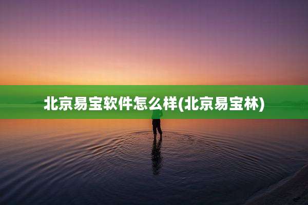 北京易宝软件怎么样(北京易宝林)