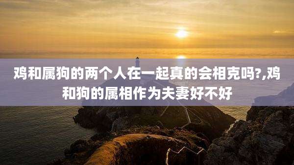 鸡和属狗的两个人在一起真的会相克吗?,鸡和狗的属相作为夫妻好不好