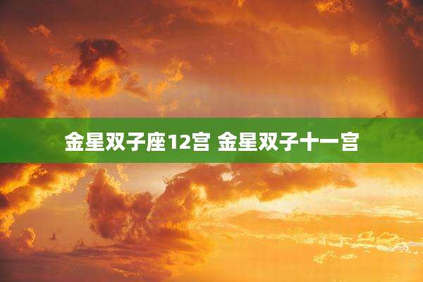 金星双子座12宫 金星双子十一宫