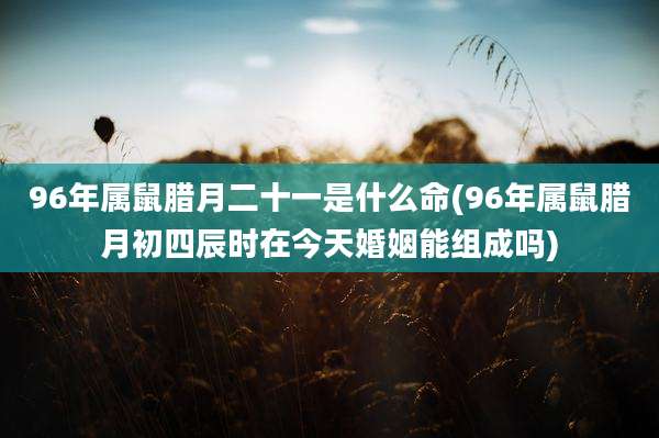 96年属鼠腊月二十一是什么命(96年属鼠腊月初四辰时在今天婚姻能组成吗)