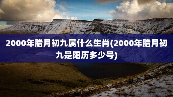 2000年腊月初九属什么生肖(2000年腊月初九是阳历多少号)