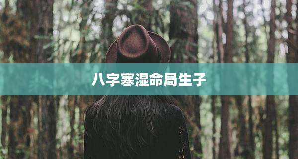八字寒湿命局生子