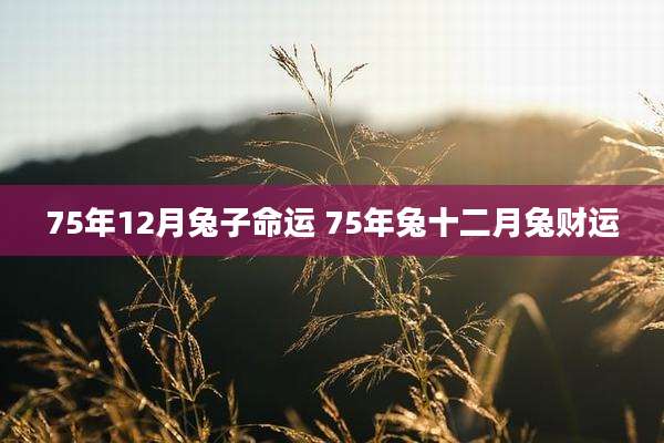 75年12月兔子命运 75年兔十二月兔财运