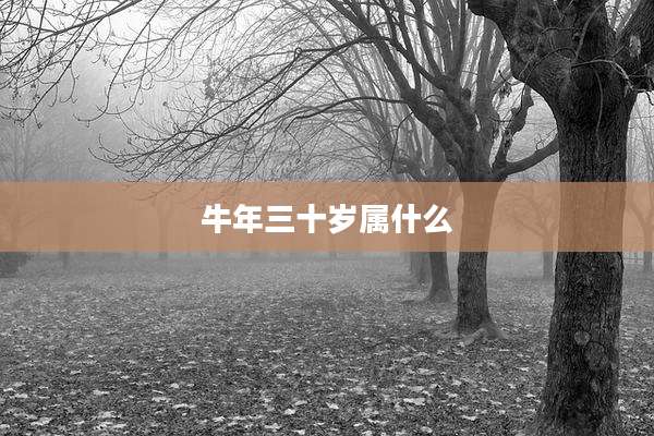 牛年三十岁属什么