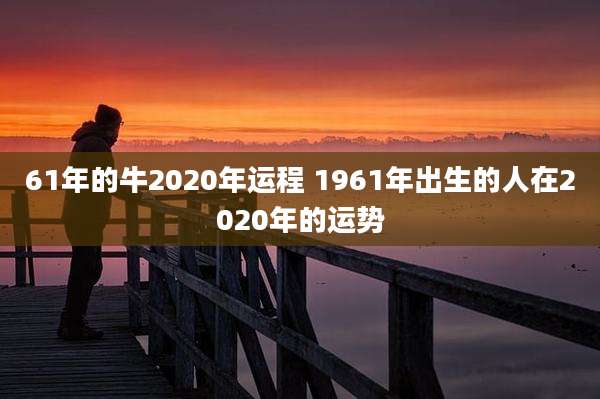 61年的牛2020年运程 1961年出生的人在2020年的运势