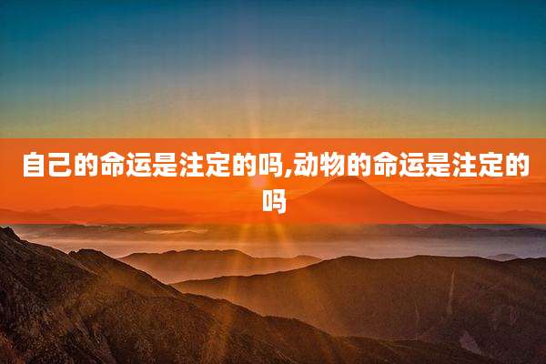 自己的命运是注定的吗,动物的命运是注定的吗