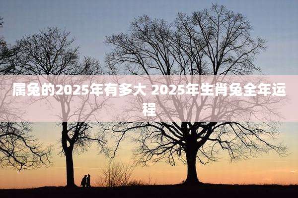 属兔的2025年有多大 2025年生肖兔全年运程