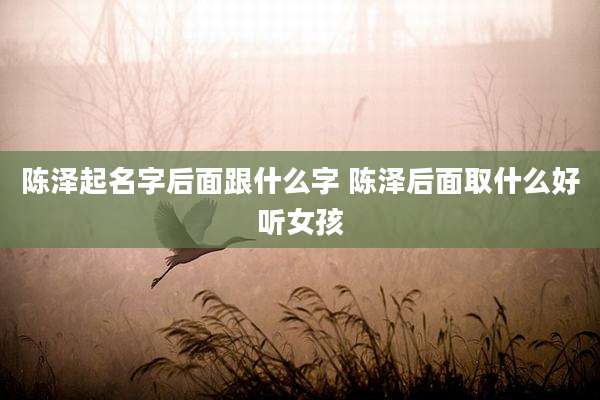 陈泽起名字后面跟什么字 陈泽后面取什么好听女孩