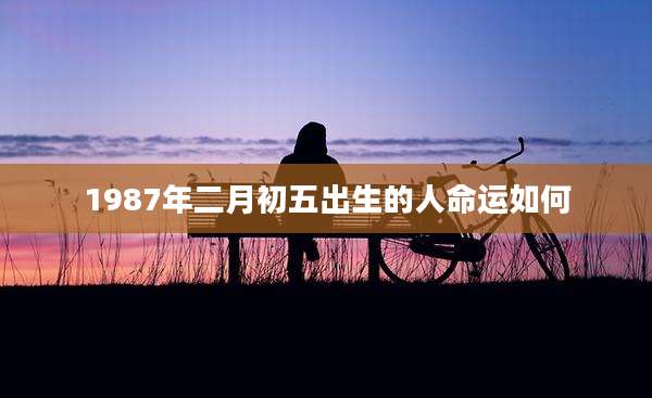1987年二月初五出生的人命运如何